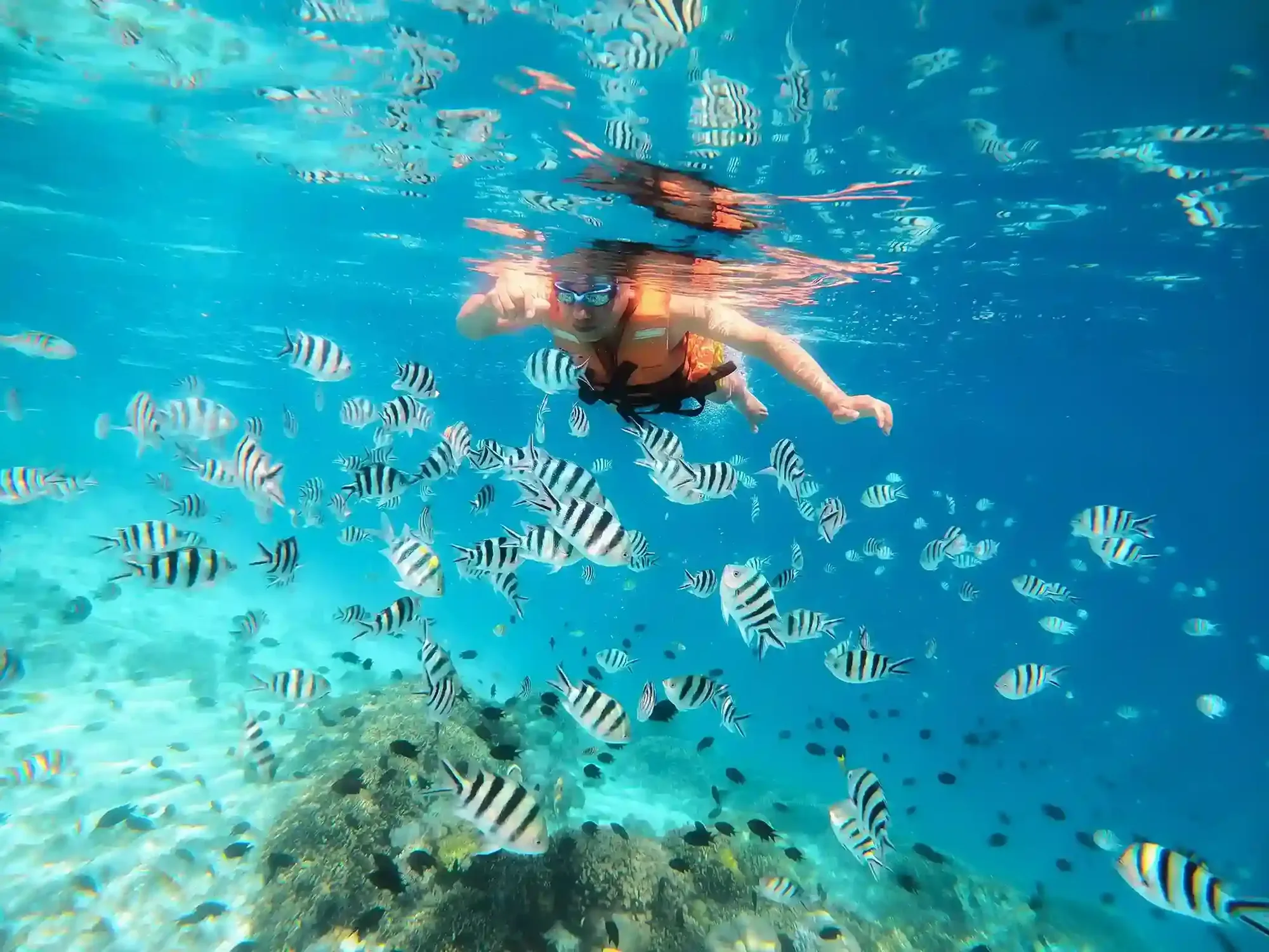 Best Snorkelling Spots near Labuan Bajo