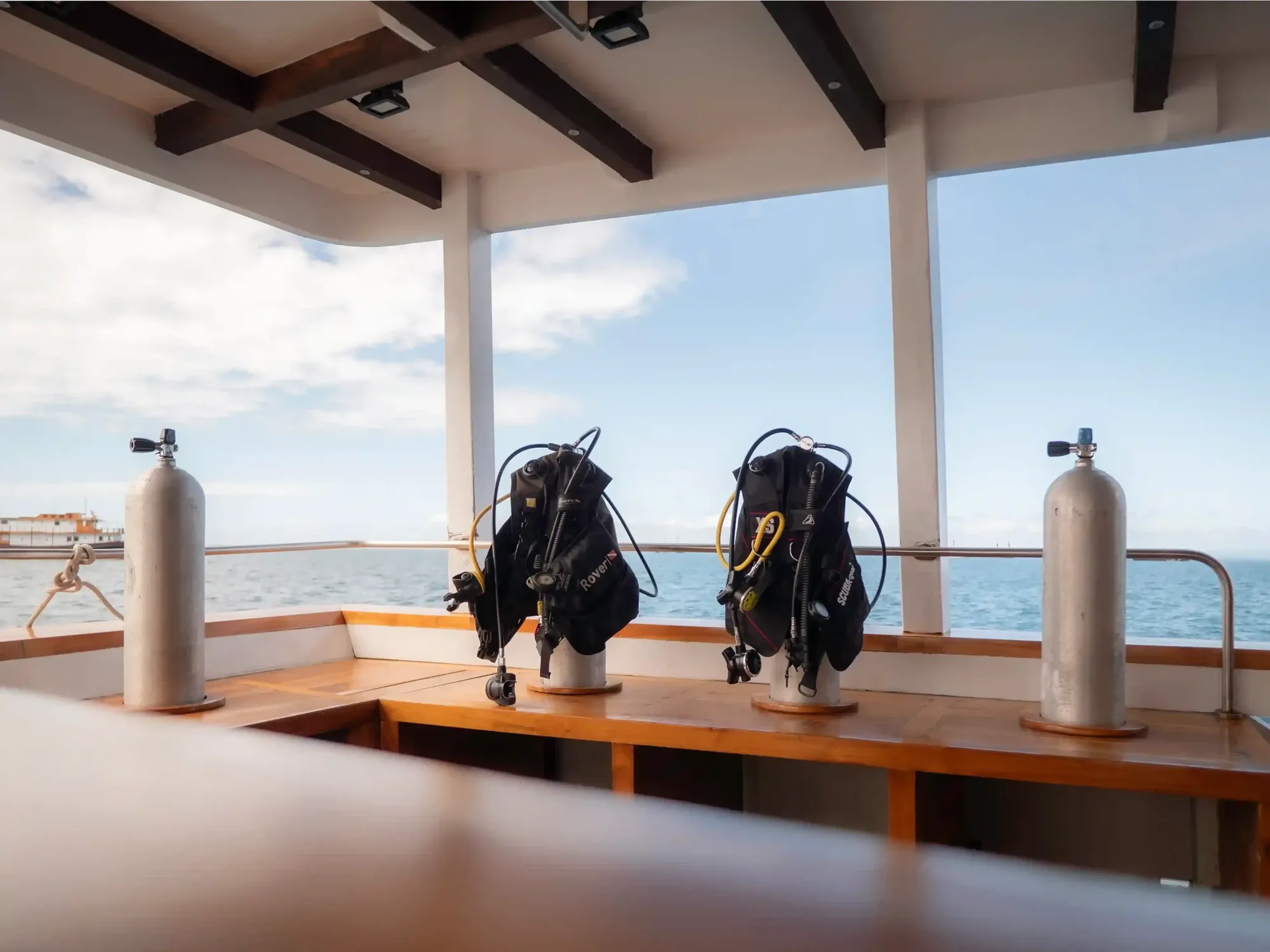 Komodo Diving Guide: Certification & Planning