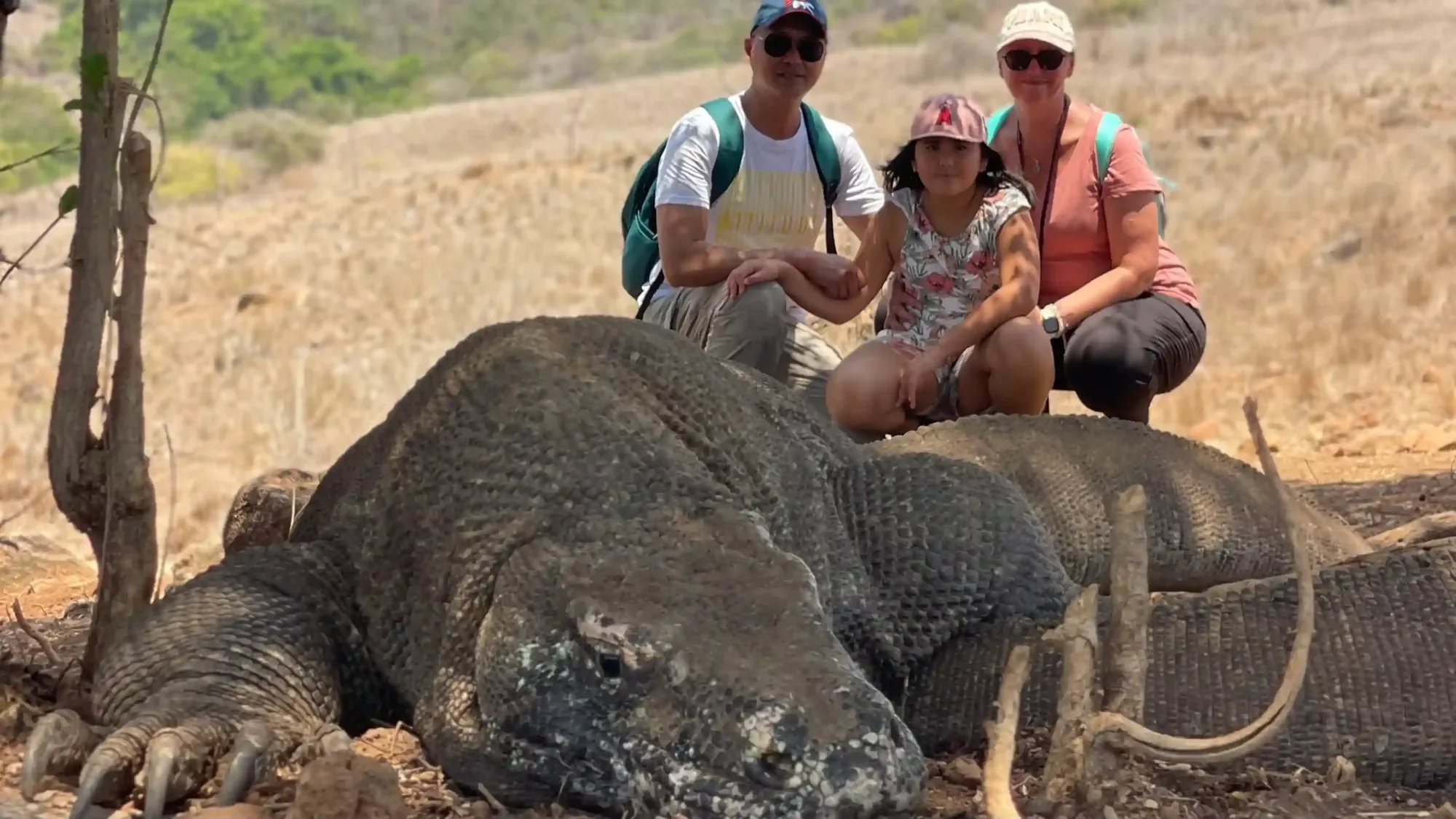 Komodo National Park Regulations — Recap