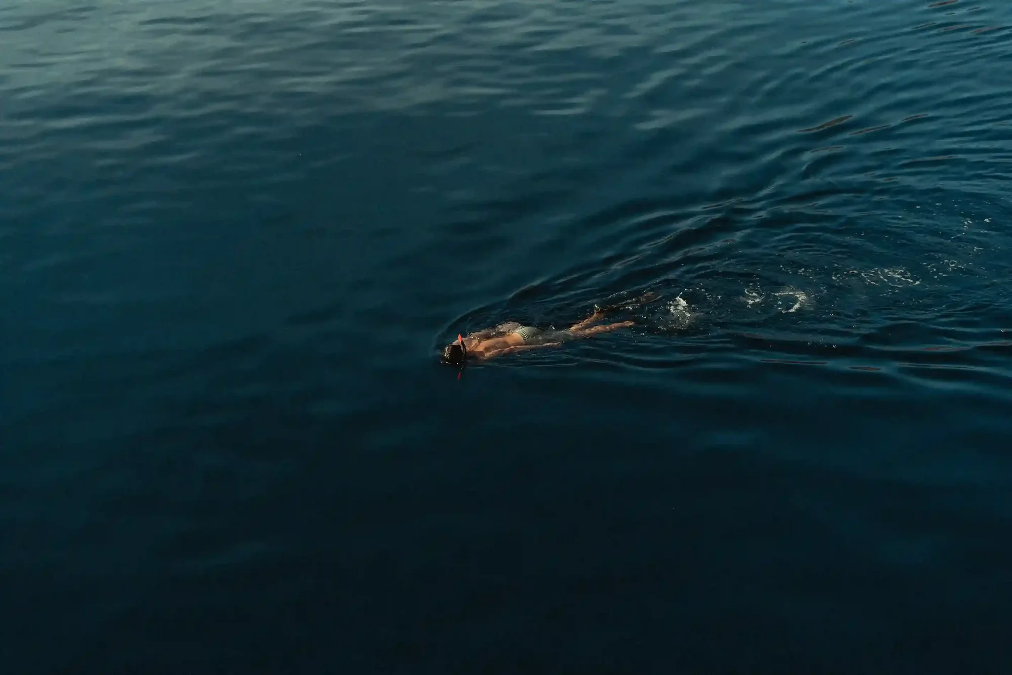 Sustainable Komodo Tourism