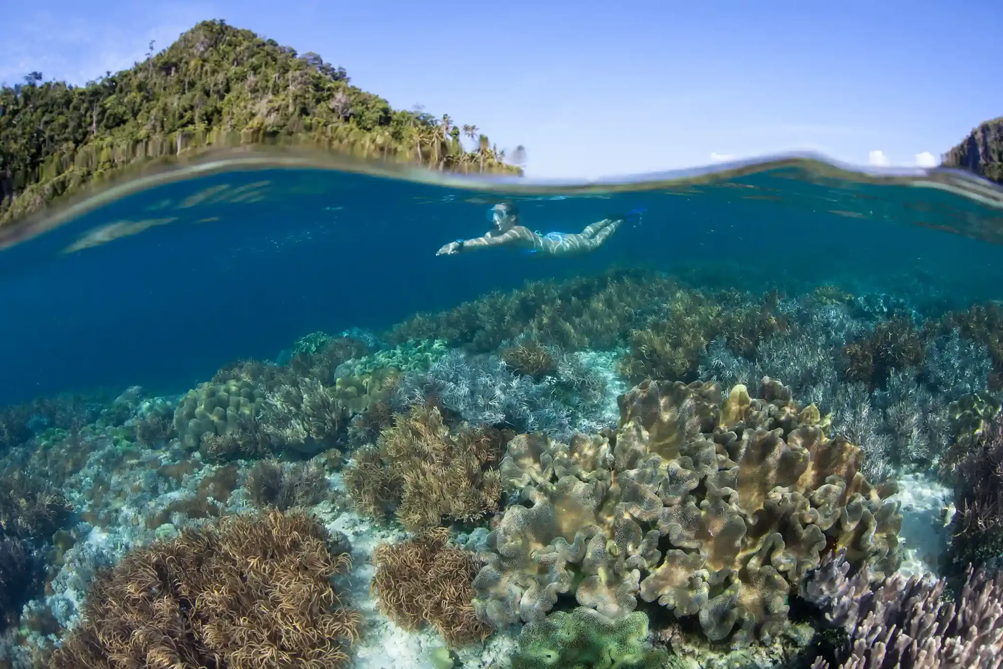Komodo Dive Conditions Month by Month