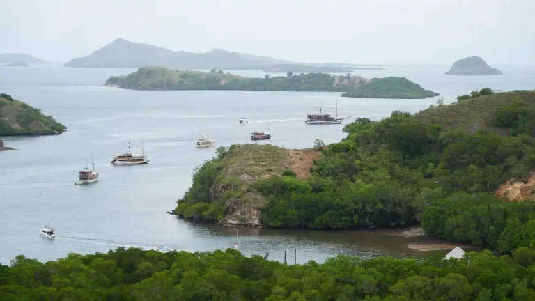 Boats at anchor below a wooded headland, seen from the water in flat morning light