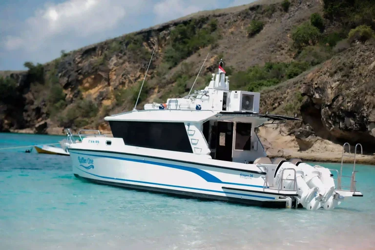 A white speedboat moored close under a steep rock face