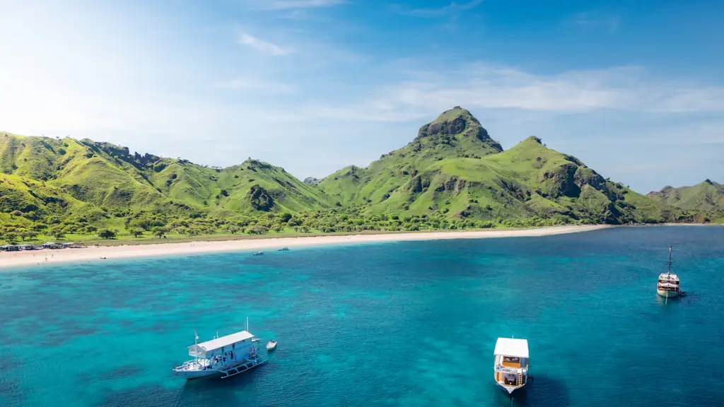 Three tour boats anchored over turquoise shallows below a steep green ridge and a pale sand beach