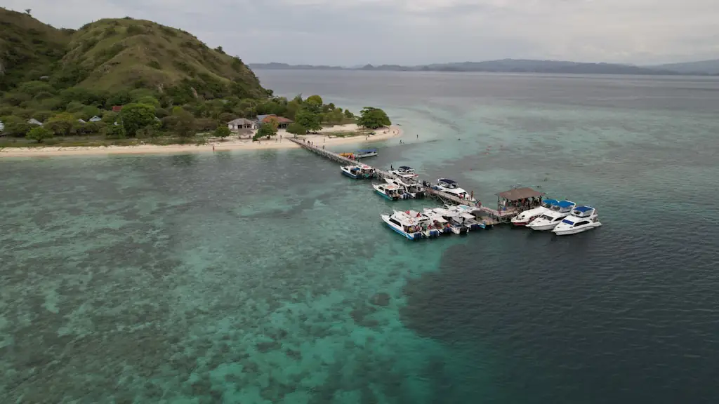 Speedboats and tour boats moored along a long wooden jetty off a small green island