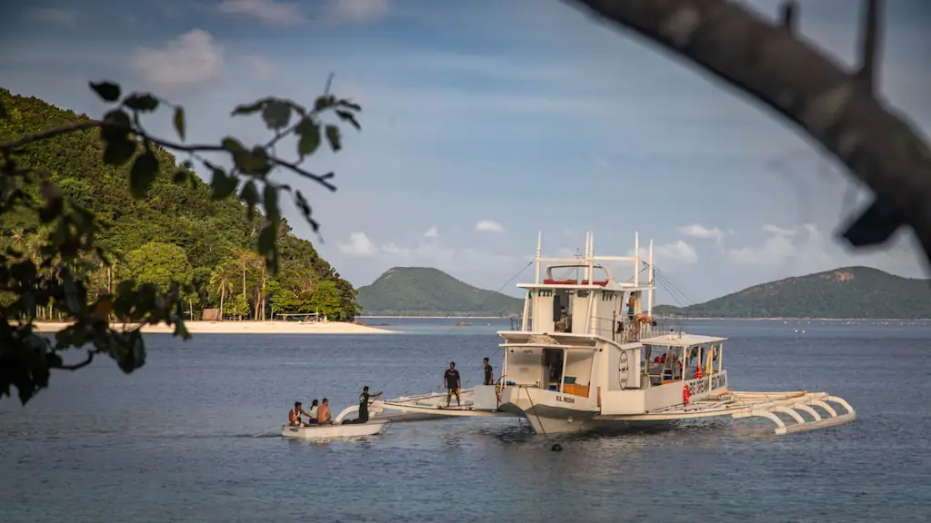A white outrigger boat anchored off a palm-backed beach with a small tender alongside, seen through overhanging branches